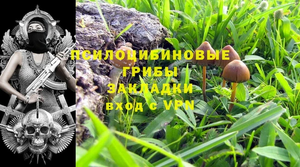 индика Дмитров