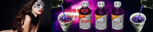 индика Дмитров