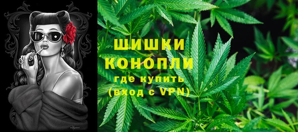 индика Дмитров