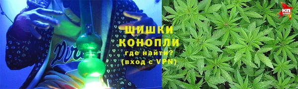 индика Дмитров
