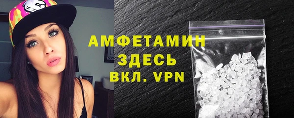 индика Дмитров