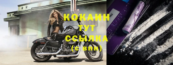 индика Дмитров