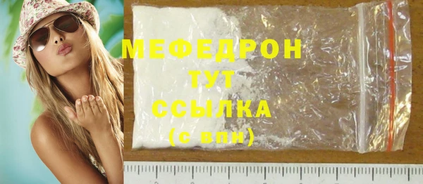 индика Дмитров