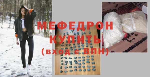 индика Дмитров