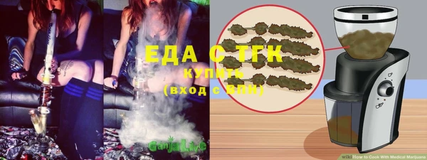 индика Дмитров