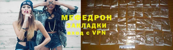 индика Дмитров