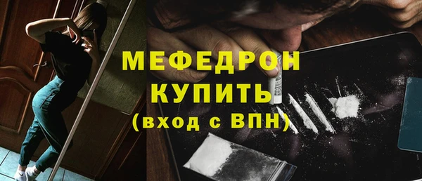 индика Дмитров
